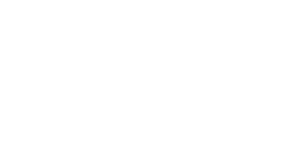 Industrial Electric Mfg. Our Portfolio Odyssey